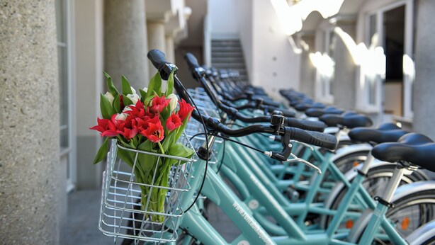 Una hilera de bicicletas color turquesa estacionadas a lo largo de una calle estrecha, con una cesta de metal que contiene flores rojas en una de ellas.