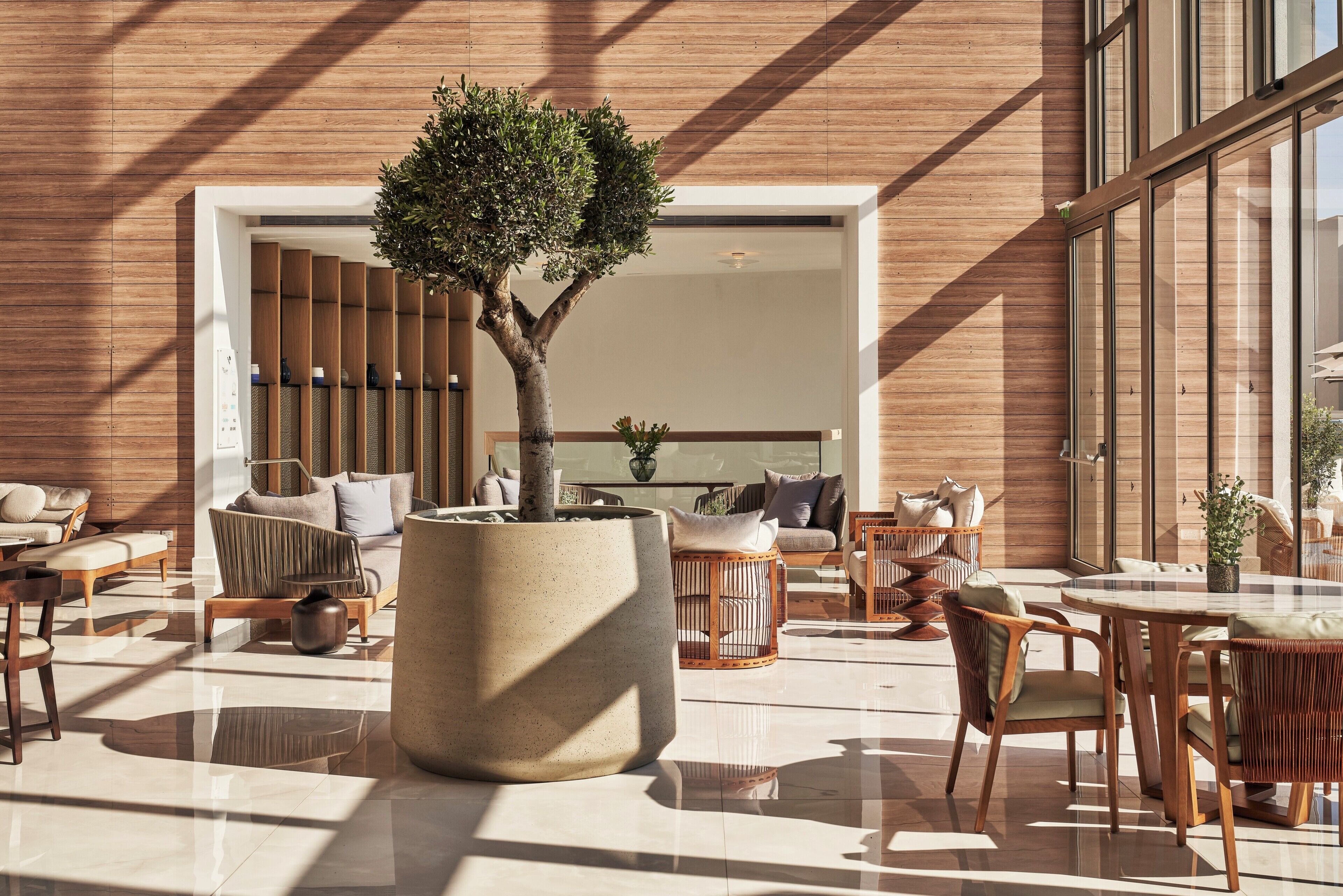 A modern indoor space with a central tree planter, seating areas, and a view into a room with a large window.