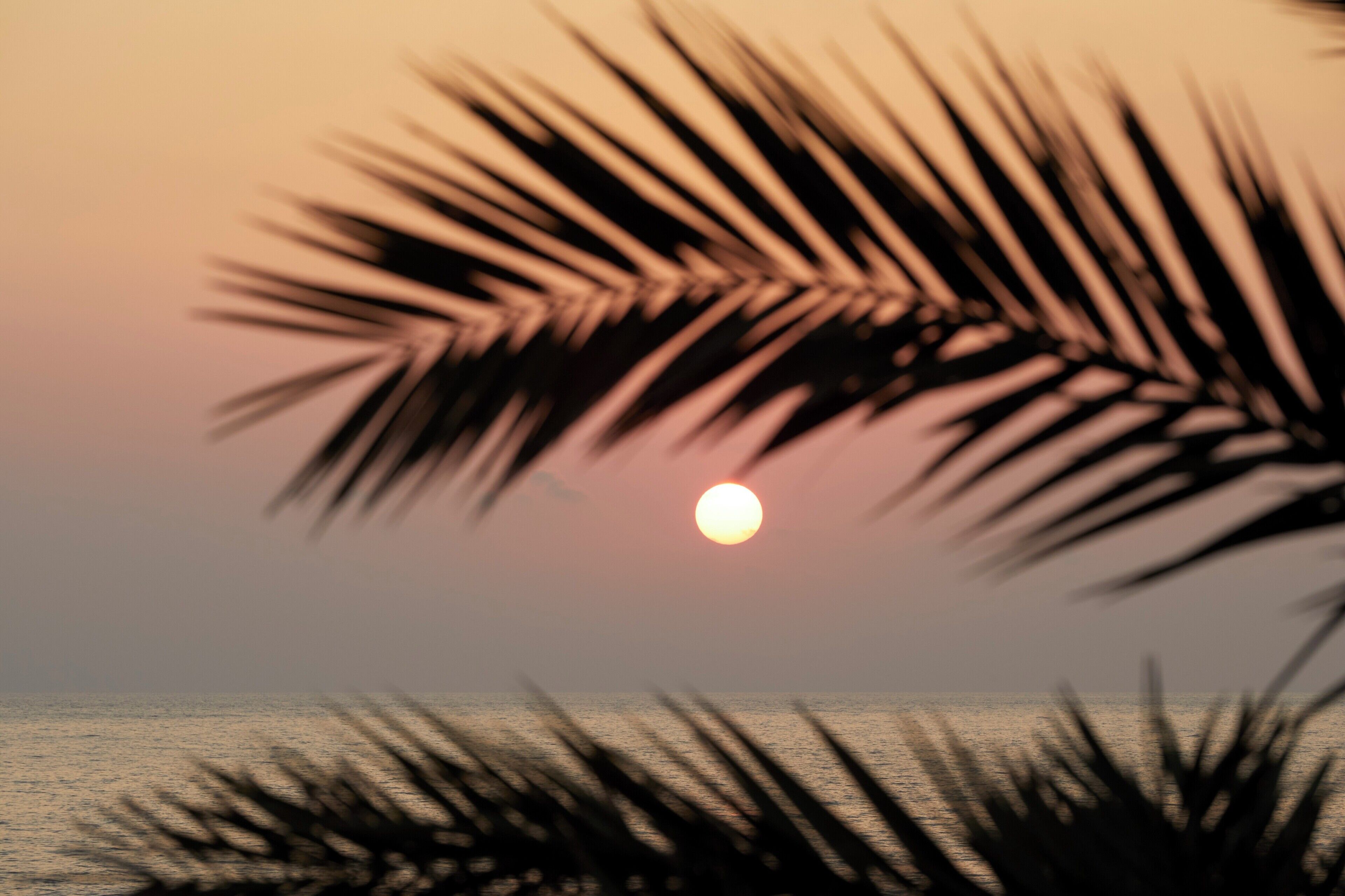 Photo - Mare Paphos