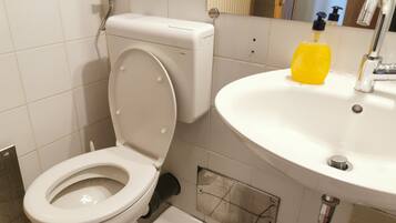 Studio Apartment | Bathroom | Shower, towels, soap, toilet paper