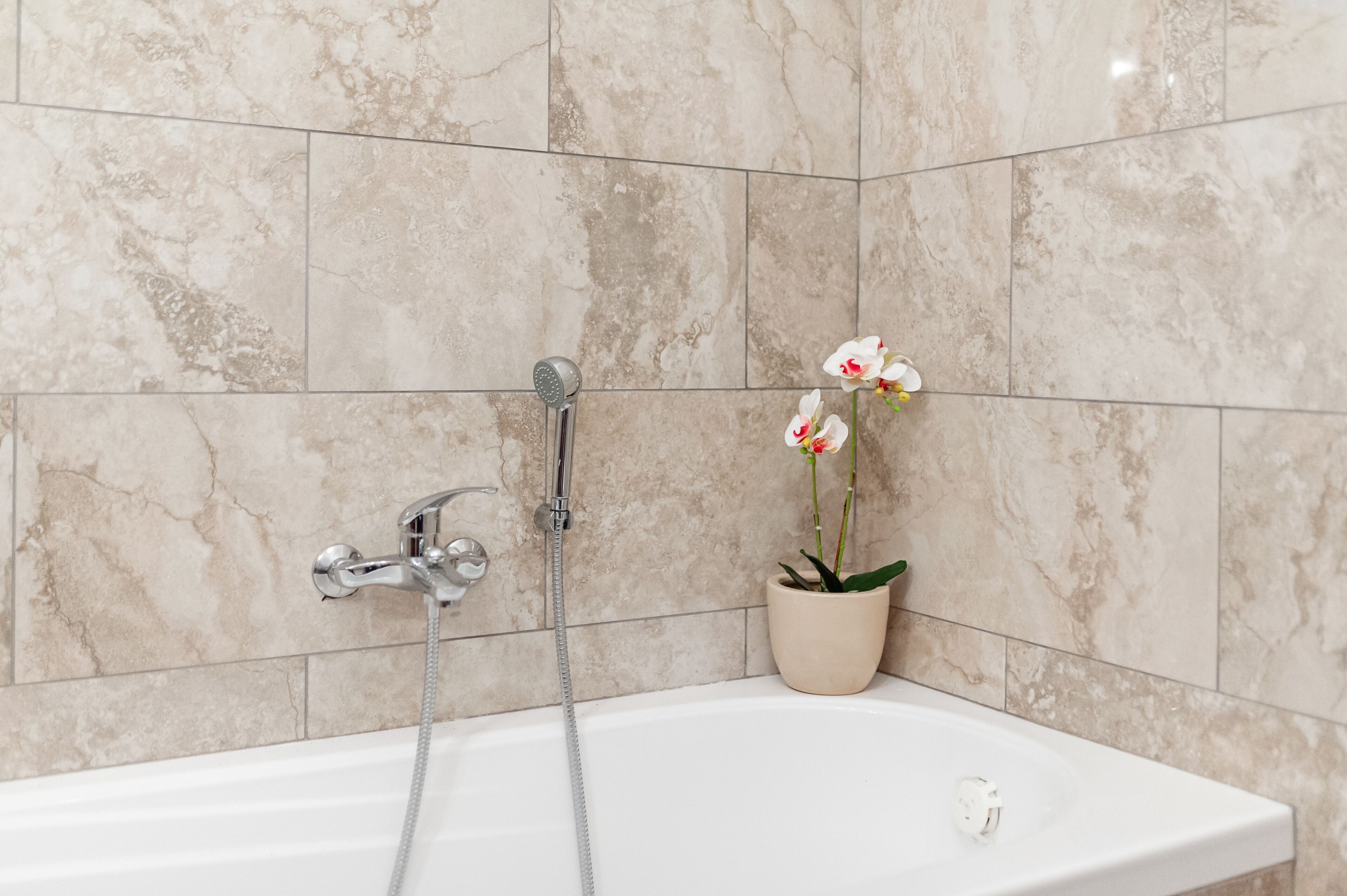 A bathroom with a bathtub, a shower, and a potted orchid.