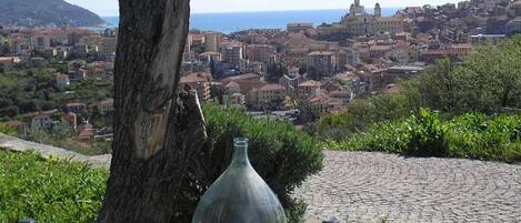 Vue depuis l’hébergement