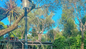 A pathway leading to a wooden staircase with a metal railing, surrounded by lush greenery and a clear blue sky.