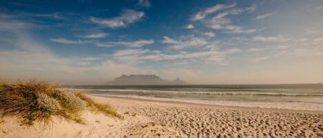 ビーチ、サンラウンジャー