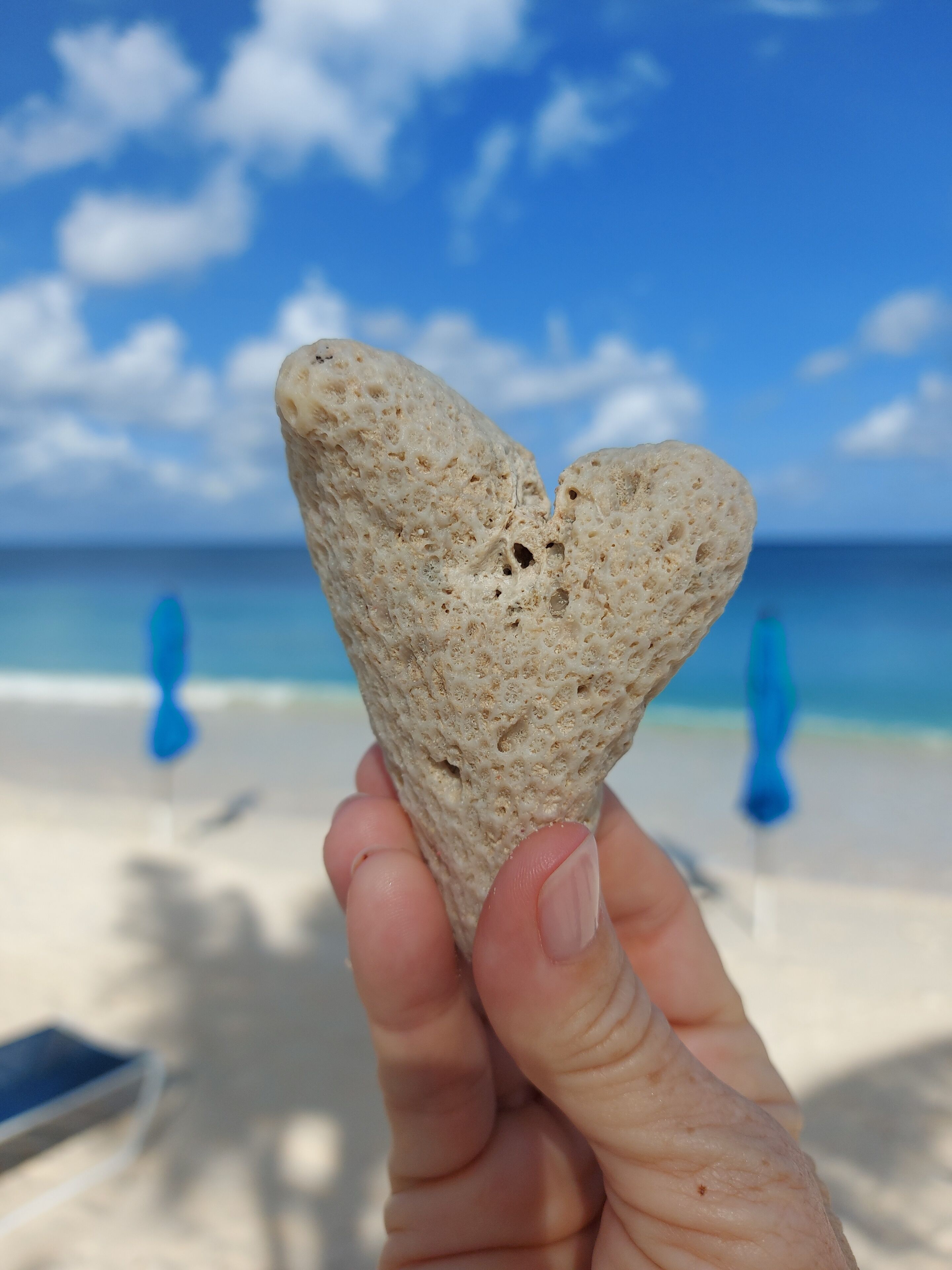Een hand houdt een hartvormige steen vast, met een zandstrand en oceaan op de achtergrond.