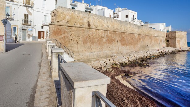 A coastal street with a prominent stone wall and white buildings. - Cute flat in the heart of Monopoli (Monopoli)