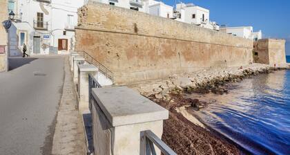 Cute flat in the heart of Monopoli