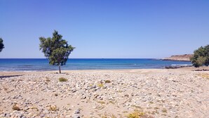 Una playa rocosa con un árbol solitario y una vista despejada del mar.