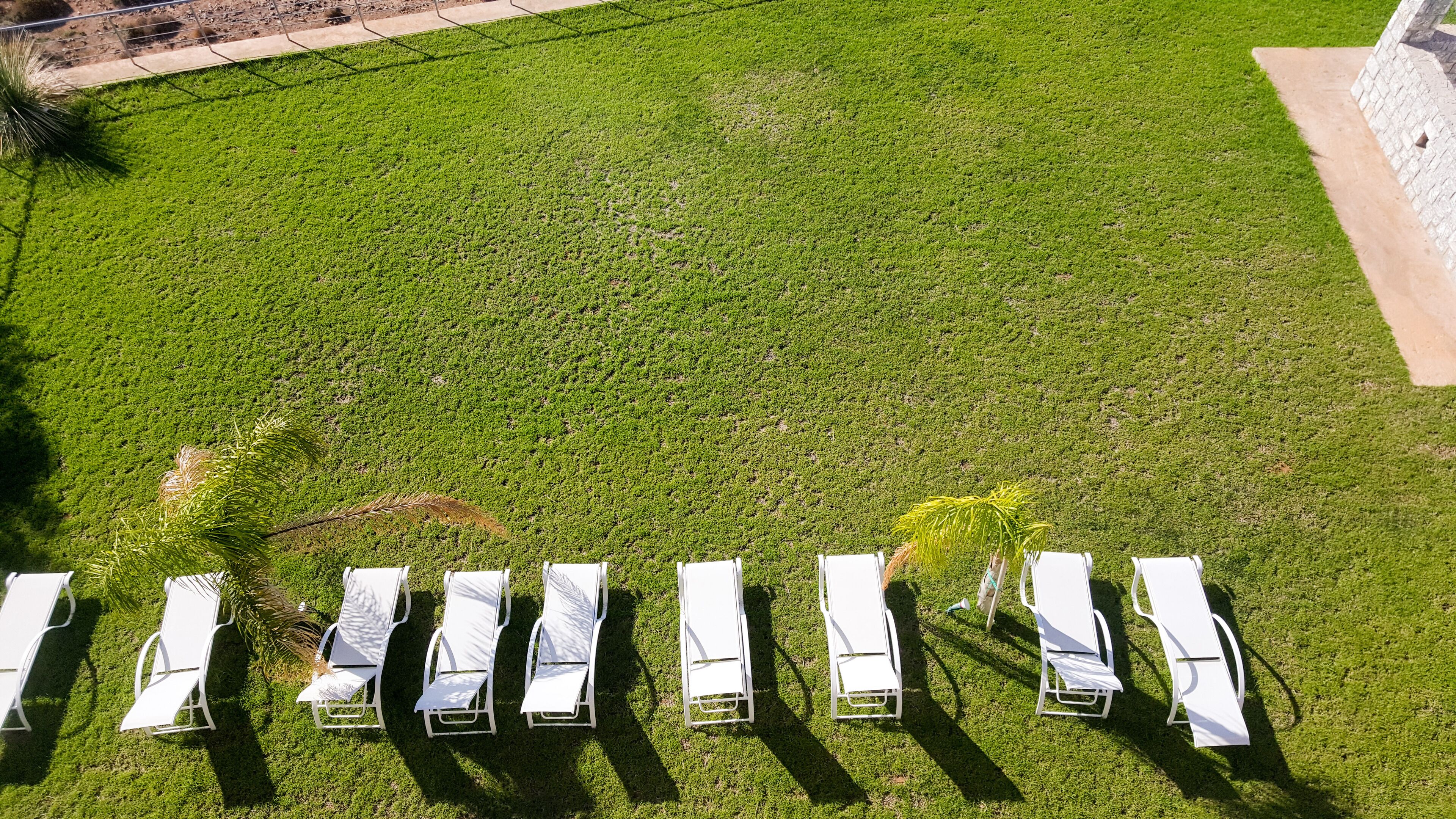 An aerial view of a grassy area with white lounge chairs arranged in a row.