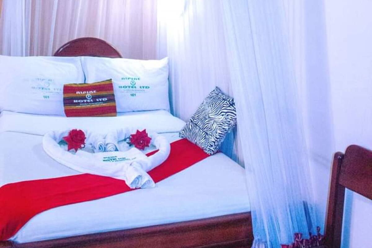 A bed with a canopy, pillows, and a red blanket.