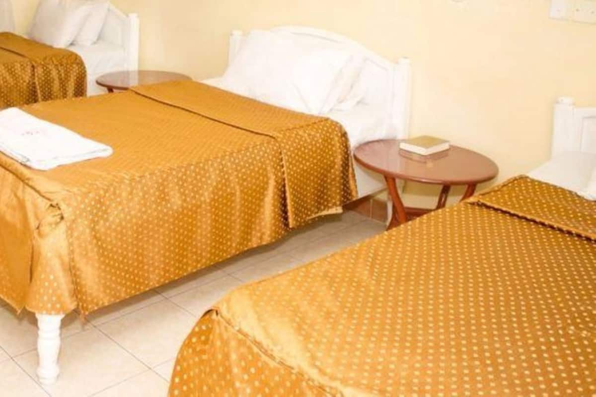 Triple Room | Desk, free WiFi, bed sheets