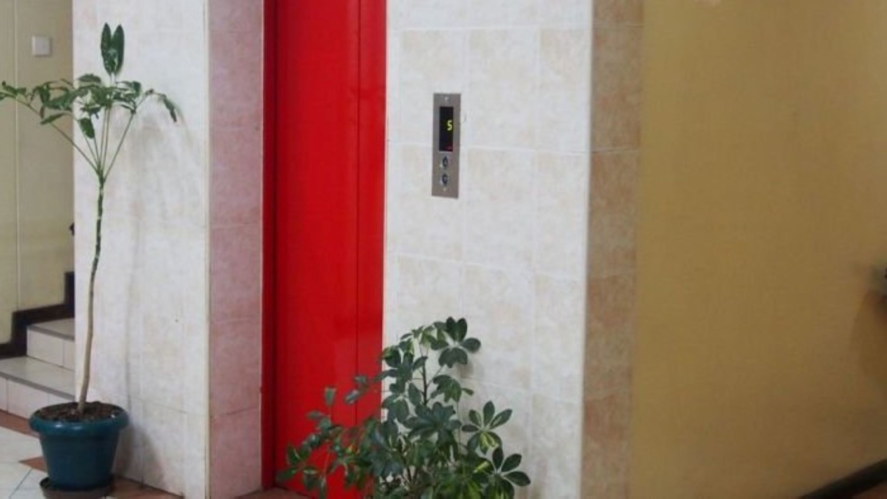 Detalle del interior