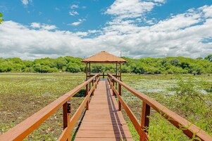 Chalet | Property grounds