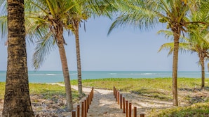A sandy beach path flanked by palm trees leading to the ocean.