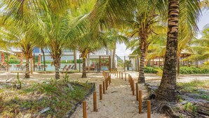 A sandy pathway lined with palm trees leading to a building with glass doors.
