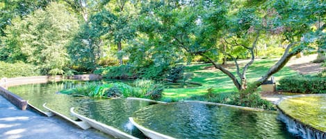 Jardines del alojamiento