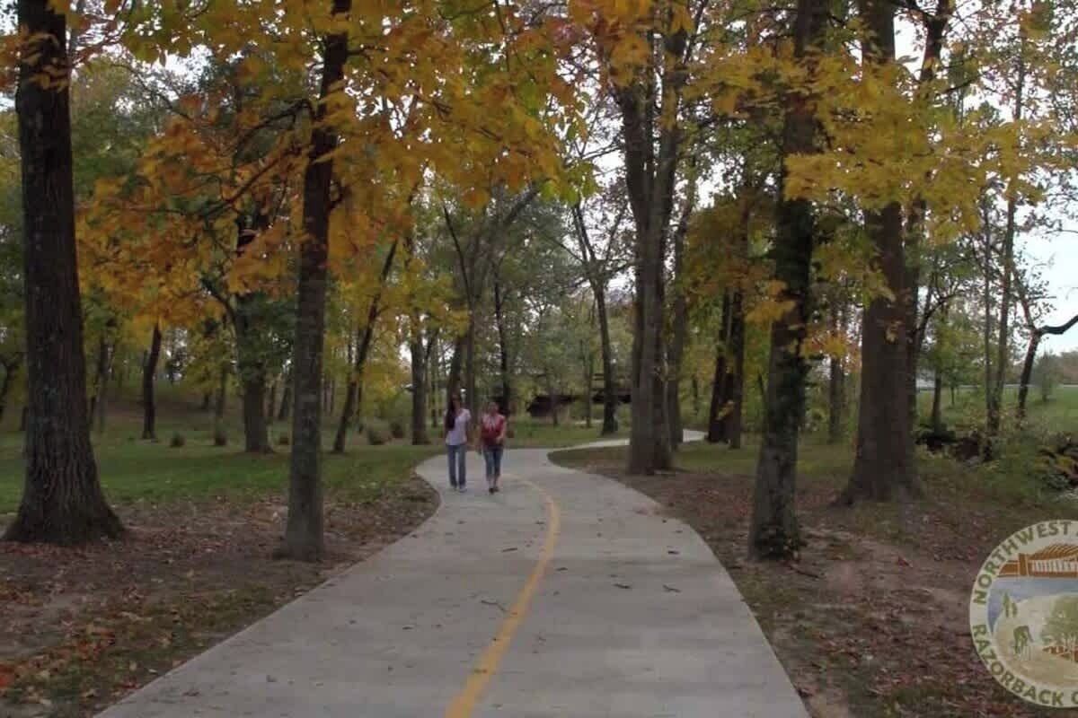 Un sendero pavimentado en un parque con árboles mostrando follaje otoñal.