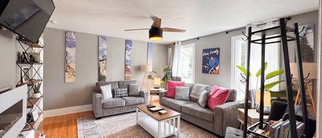 Smart TV, fireplace, books