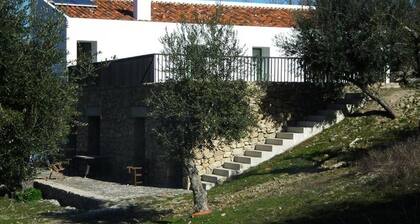 Tolles Landhaus in Alentejo - QUINTA VELHA DO PÊRO BOI - Ferienwohnungen