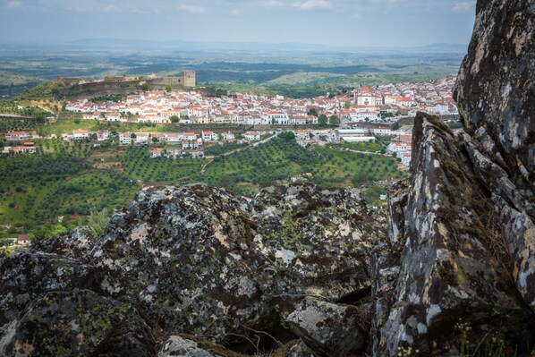 A town with a historic castle and a dense cluster of buildings.