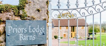 Pipistrelle - UK30758