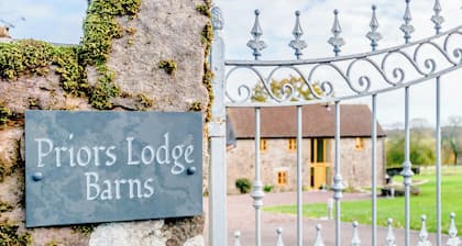 Pipistrelle - UK30758