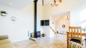 A spacious living area with a fireplace, a dining table, and a kitchen area. - Pipistrelle - UK30758 (Bream, near Lydney)