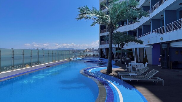 A pool with a glass barrier, lounge chairs, and a palm tree. - SL Hotel Gangneung (Gangneung)