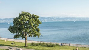 Ein Park mit einem großen Baum, Bänken, einem Fahrrad und Blick auf das Wasser mit Booten.