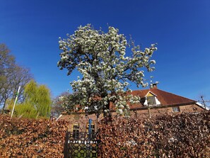 獨棟房屋 | 外觀