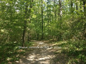 Huis | Uitzicht vanuit accommodatie