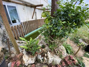 A garden area with a wooden fence, a potted plant, and a tree. - Beach House 1 & Private Beach (Onna)