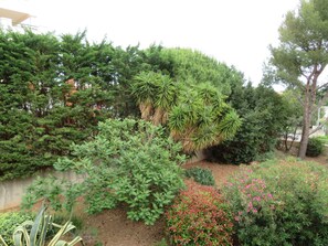 Property grounds - Charming Studio Cabine with Terrace, 300m from Beach, Parking Included, Sète (Sète)