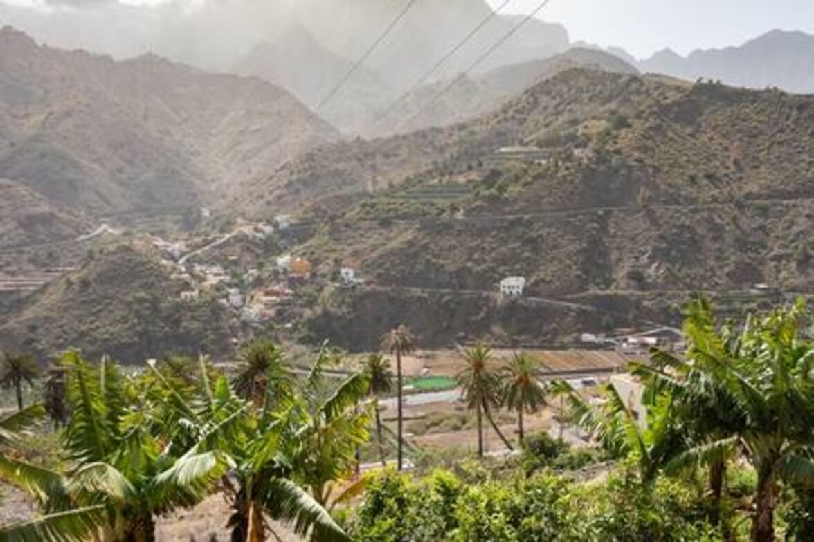 Un paysage montagneux avec des champs en terrasses et des palmiers.