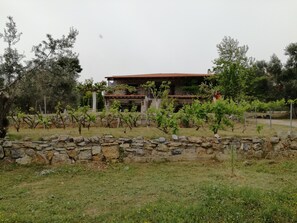 Property grounds - Beautiful STONE HOUSE, Evia Island (Politika)