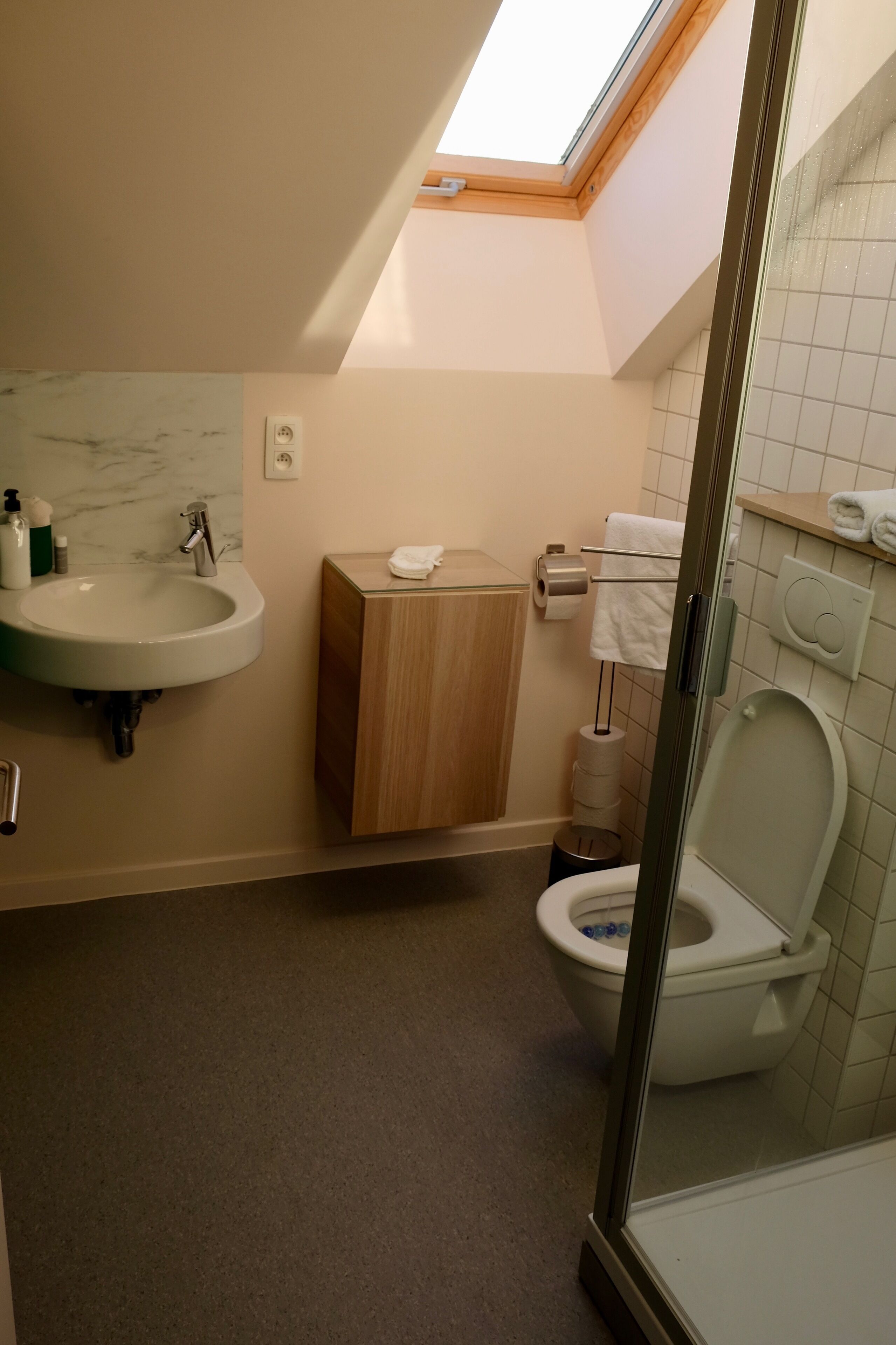 Une salle de bain dotée d’une lucarne, d’un lavabo, de toilettes et d’un espace douche.