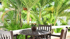 Balcony - Downtown Suite + Pool, Steps to Beach & 5th! (Playa del Carmen)