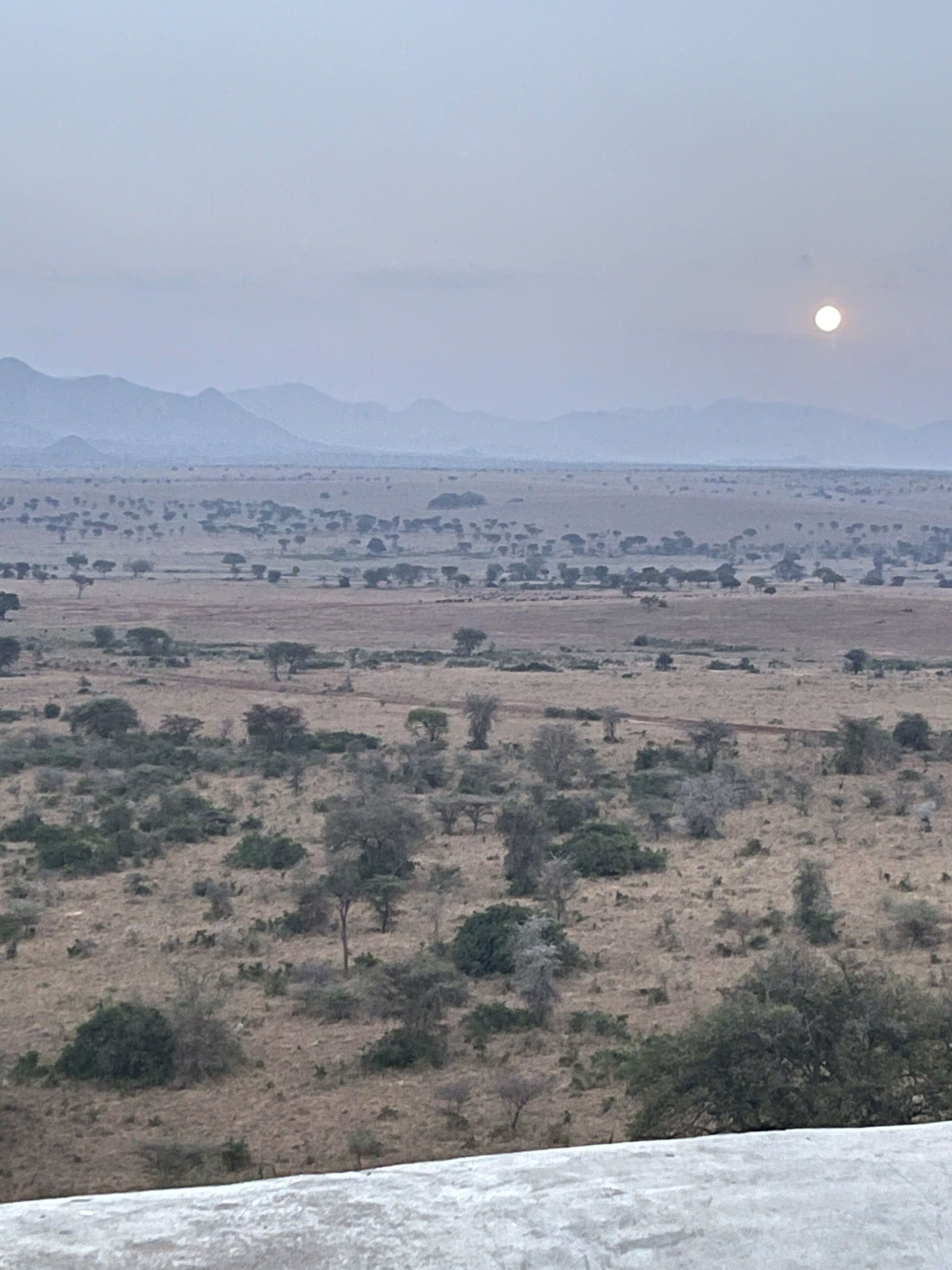 A vast, open landscape with sparse vegetation and distant mountains.