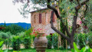 A rustic stone building with a garden in front, featuring a large pot with flowers and a tree with a curved trunk. - Villa Alessandro (Citta della Pieve)