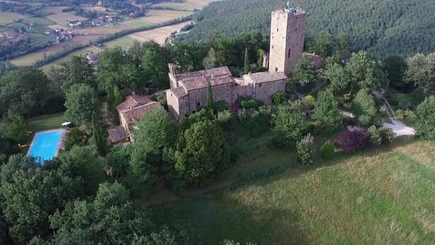 Vista aérea de un castillo rodeado de un bosque denso, con una piscina y una torre.