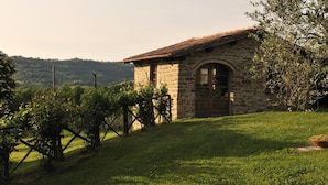 Un bâtiment en pierre avec un toit en tuiles, des fenêtres en arc de cercle et une porte, entouré d’une zone herbeuse et de vignobles.
