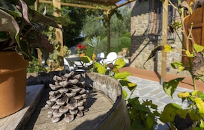 Garden - Villa Antonella (Tuoro sul Trasimeno)