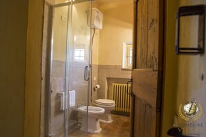 A bathroom with a glass shower enclosure, a toilet, and a bidet.