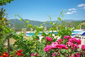 Property grounds - Vila Nova Seoska kuća sa toplim bazenom i jacuzzijem u oazi maslina i vinograda! (Dragljane)