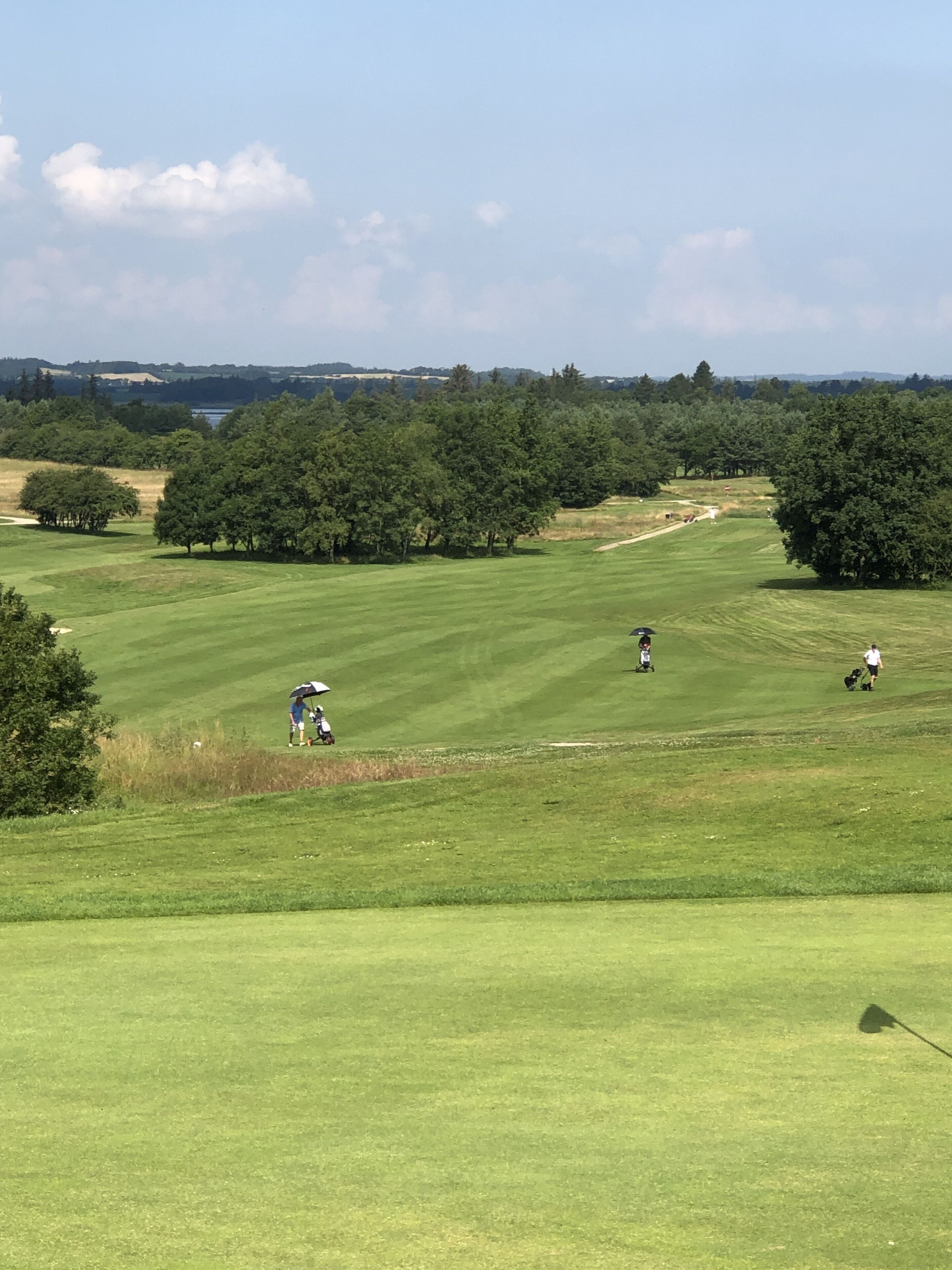 En golfbana med klar himmel, välskött gräs och träd i bakgrunden.