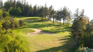 Un campo de golf con varios fairways, búnkeres de arena y árboles densos.