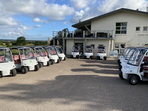 Carrito de golf