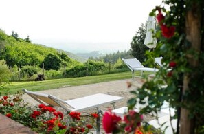 Garden - VILLA 6 PERS PANORAMIQUE PISCINE JACUZZI (Castelnuovo Berardenga)