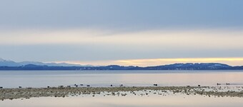 The new lifestyle suite on Lake Chiemsee: With a mountain view, 2 "en-suite" baths, sauna!