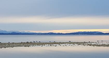 The new lifestyle suite on Lake Chiemsee: With a mountain view, 2 "en-suite" baths, sauna!